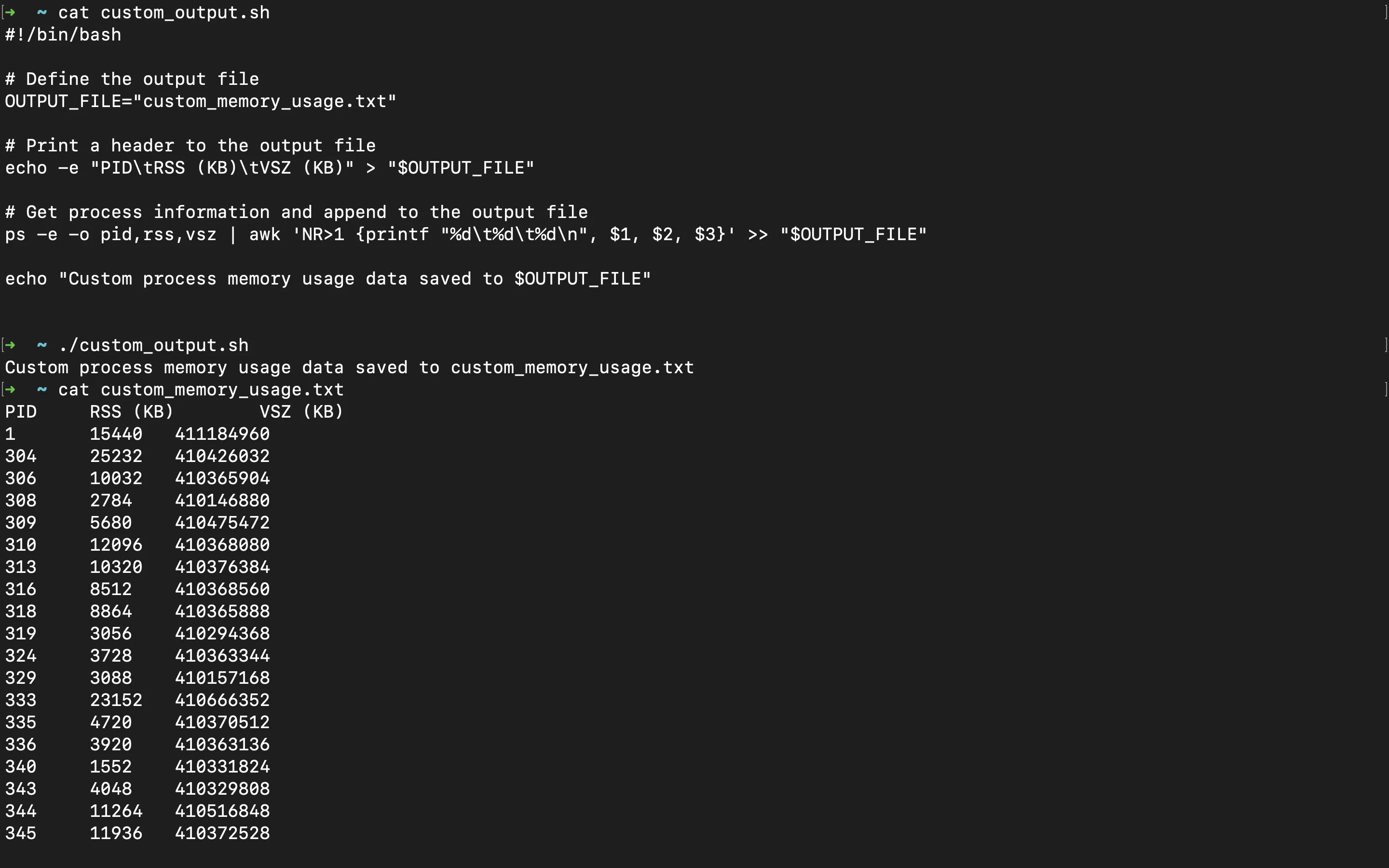 ps command custom script output